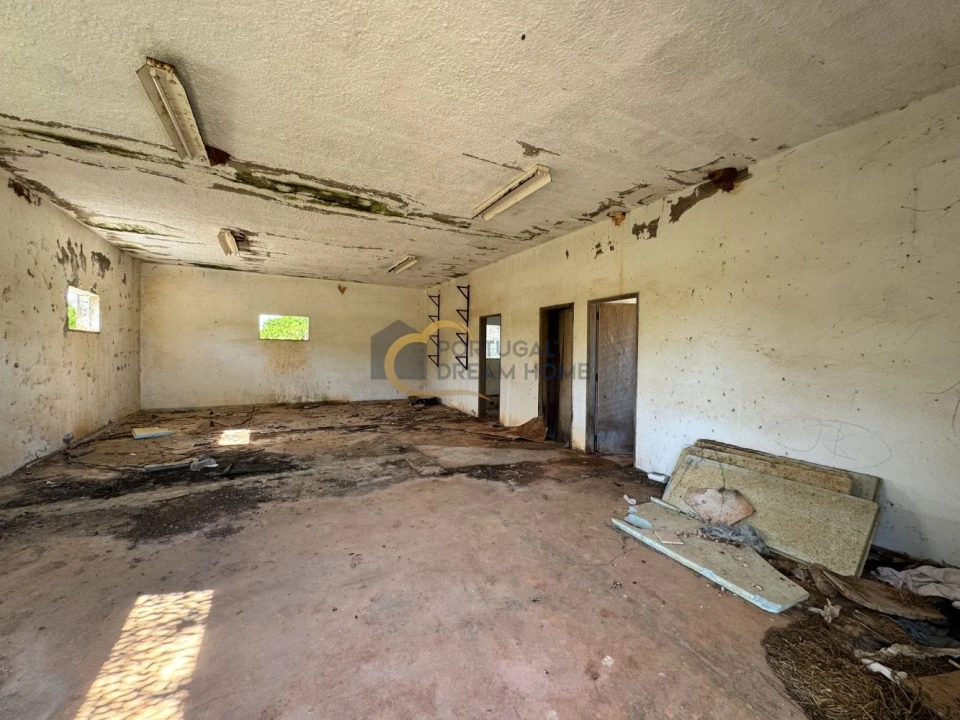 Terreno Agricola ou Rústico para Venda em São Silvestre Foto 9