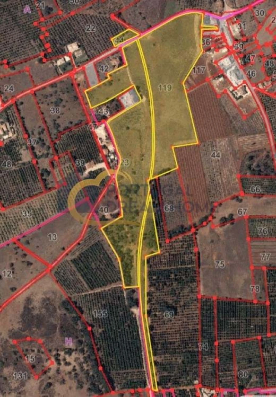 Terreno Agricola ou Rústico para Venda em São Silvestre Foto 13