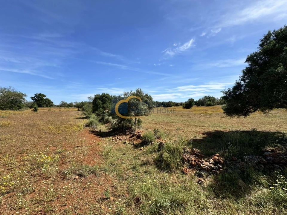 Terreno Agricola ou Rústico para Venda em São Silvestre Foto 5