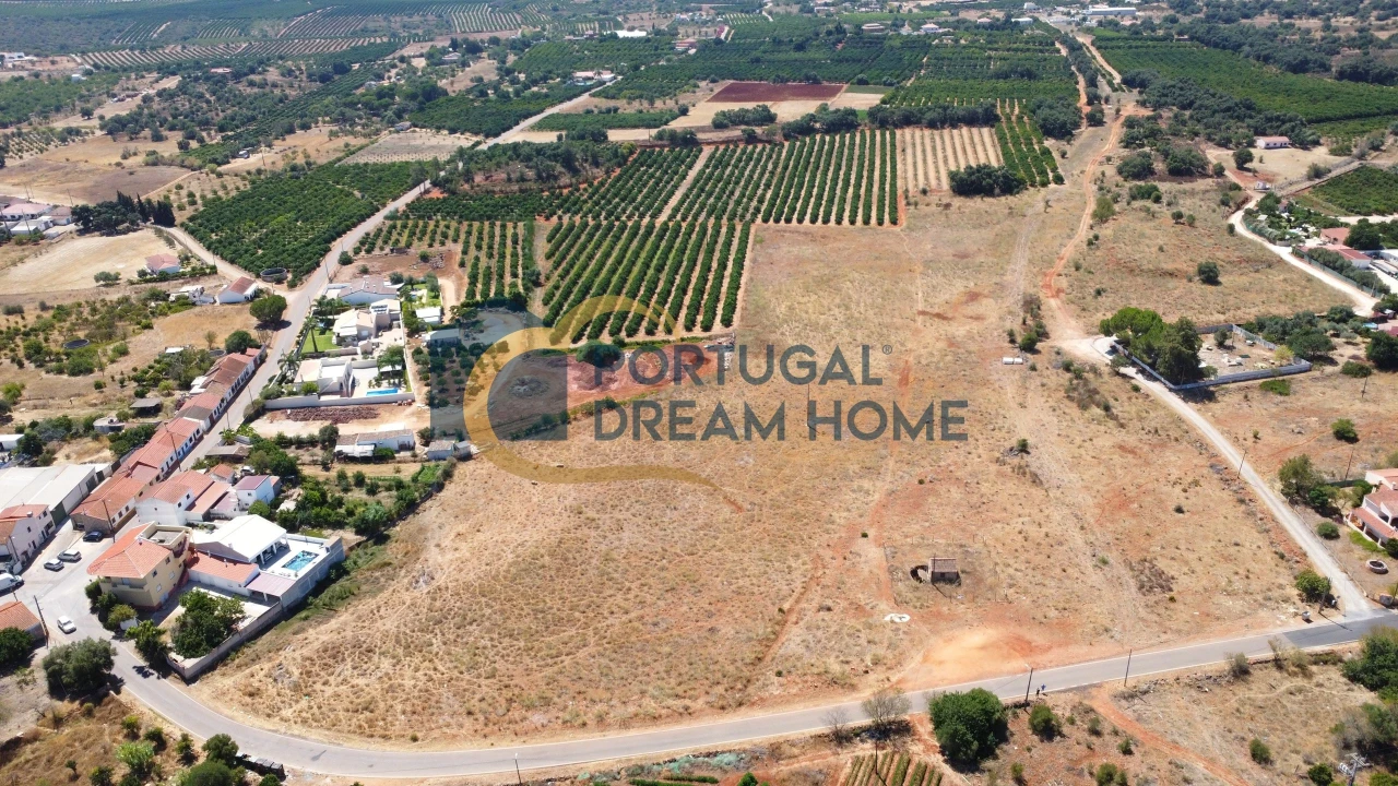 Terreno Agricola ou Rústico para Venda em Silves Foto 17