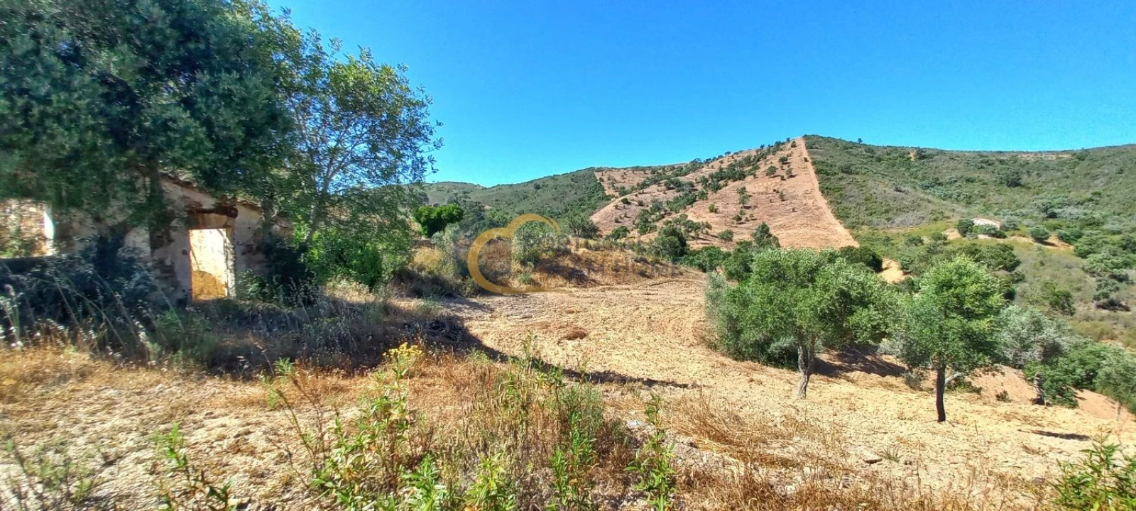 Quinta T5 para Venda em São Bartolomeu de Messines Foto 4