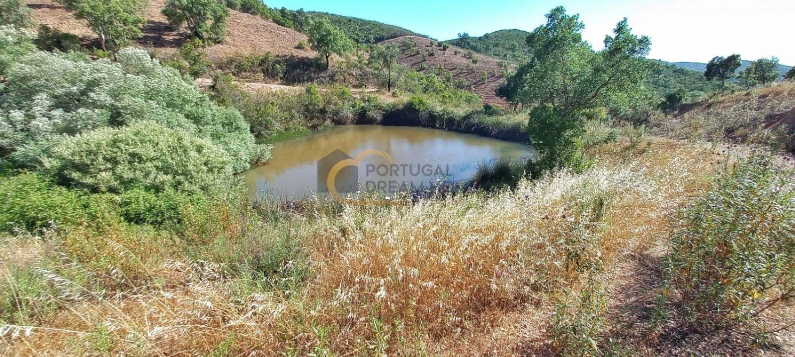 Quinta T5 para Venda em São Bartolomeu de Messines Foto 36