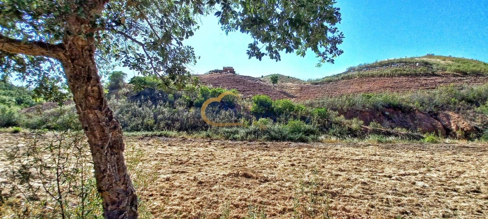 Quinta T5 para Venda em São Bartolomeu de Messines Foto 24