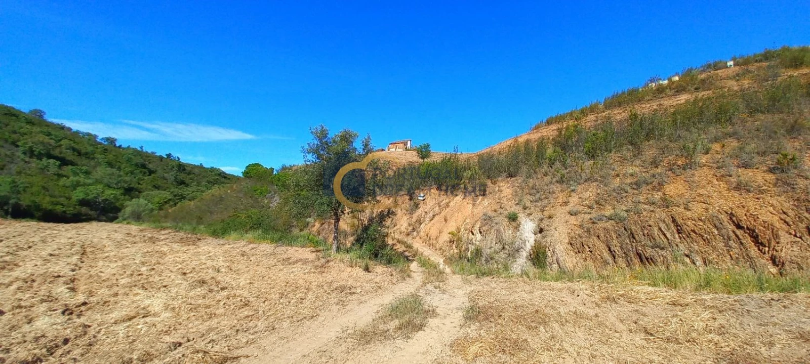 Quinta T5 para Venda em São Bartolomeu de Messines Foto 18