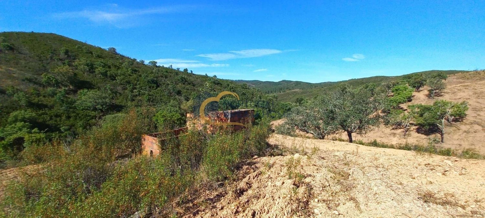 Quinta T5 para Venda em São Bartolomeu de Messines Foto 15