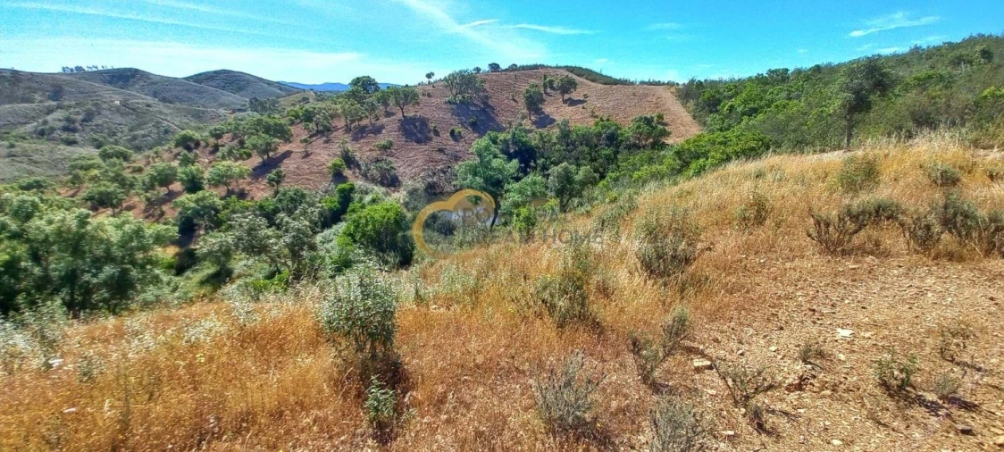 Quinta T5 para Venda em São Bartolomeu de Messines Foto 34