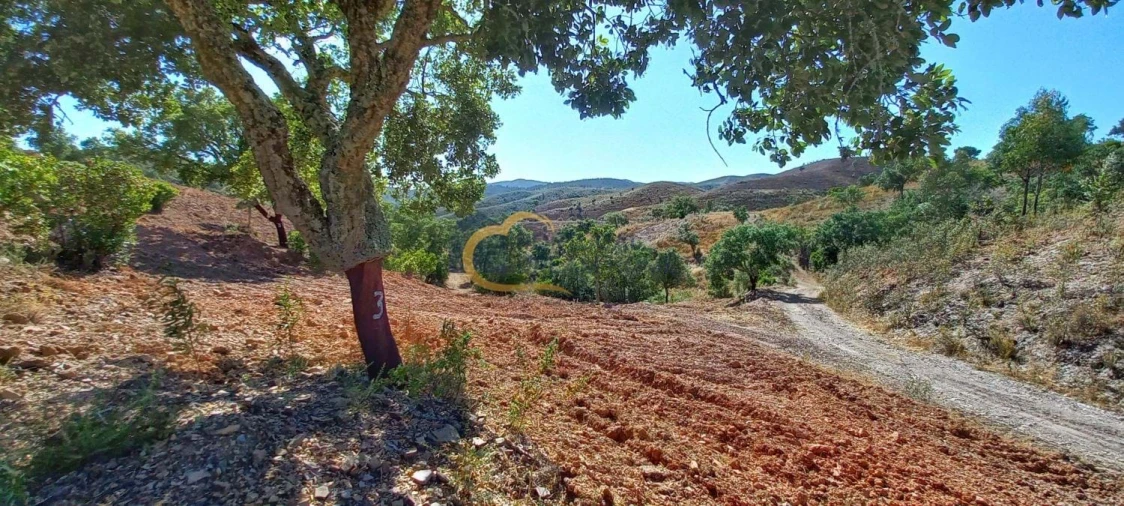 Quinta T5 para Venda em São Bartolomeu de Messines Foto 43