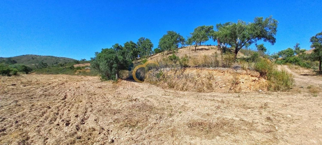 Quinta T5 para Venda em São Bartolomeu de Messines Foto 23