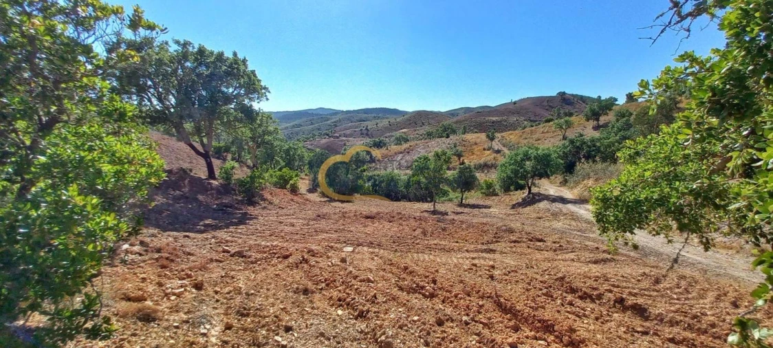 Quinta T5 para Venda em São Bartolomeu de Messines Foto 27