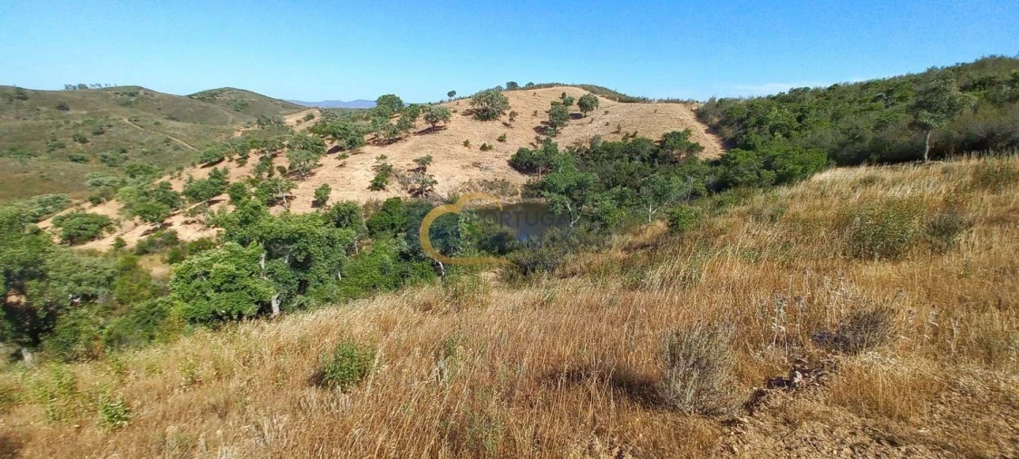 Quinta T5 para Venda em São Bartolomeu de Messines Foto 30