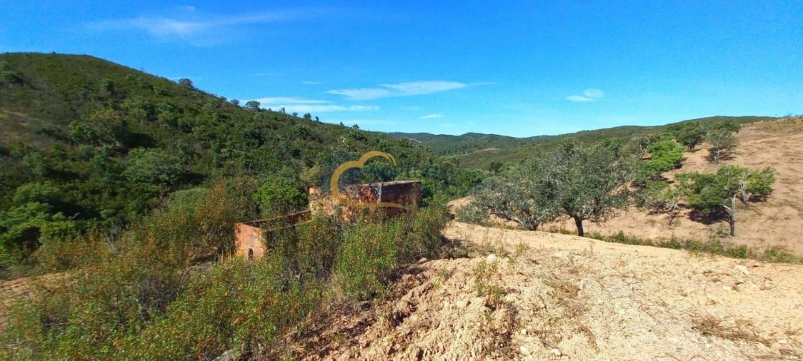Quinta T5 para Venda em São Bartolomeu de Messines Foto 15