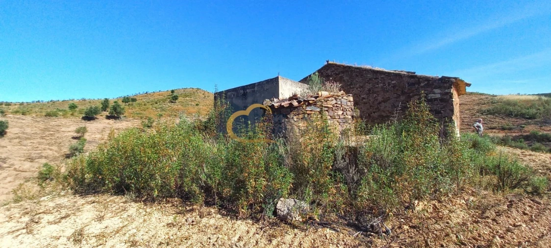 Quinta T5 para Venda em São Bartolomeu de Messines Foto 14