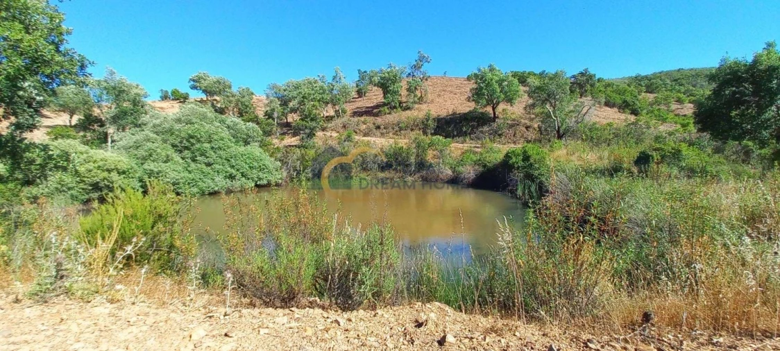 Quinta T5 para Venda em São Bartolomeu de Messines Foto 32