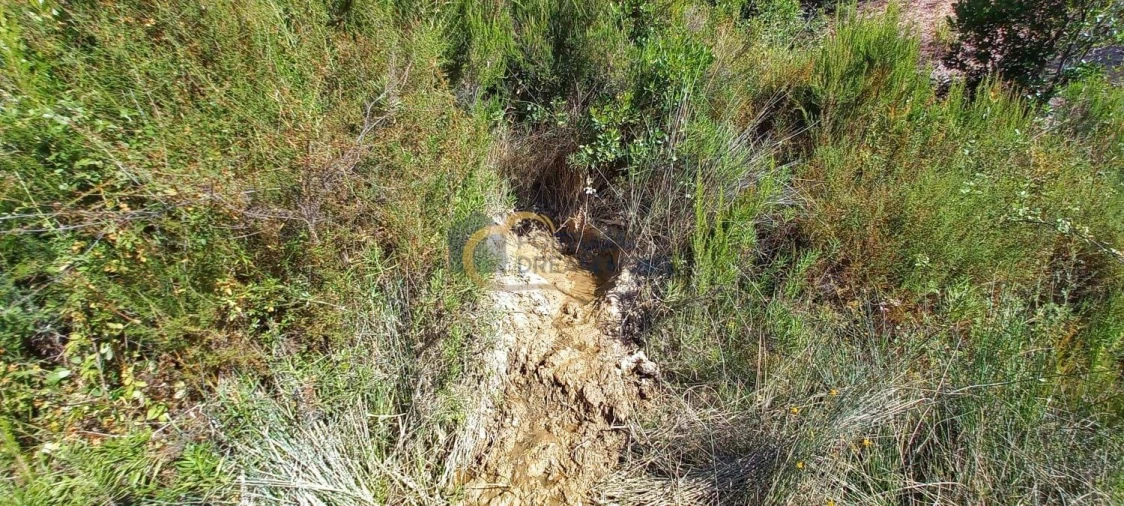 Quinta T5 para Venda em São Bartolomeu de Messines Foto 37