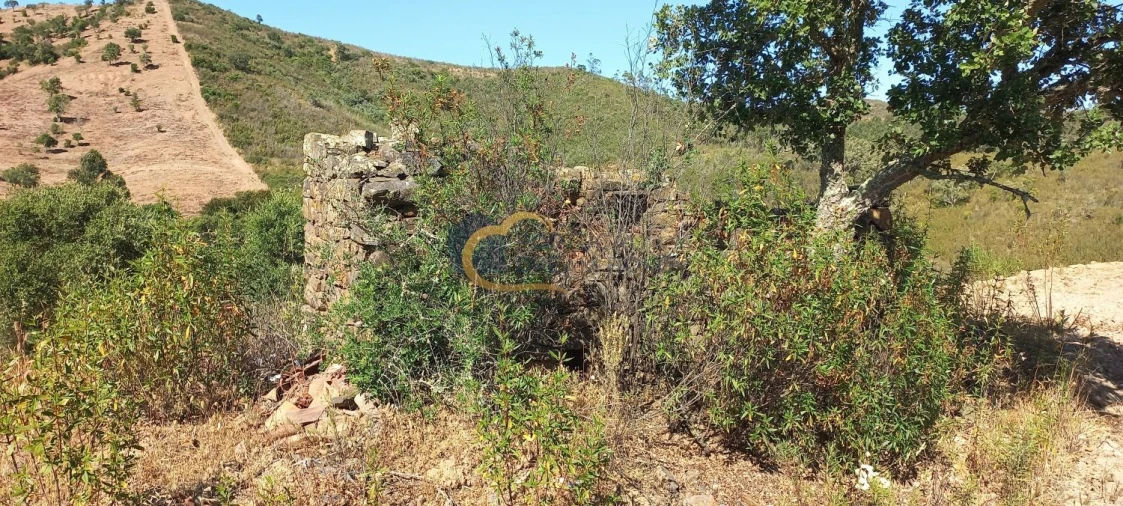 Quinta T5 para Venda em São Bartolomeu de Messines Foto 7