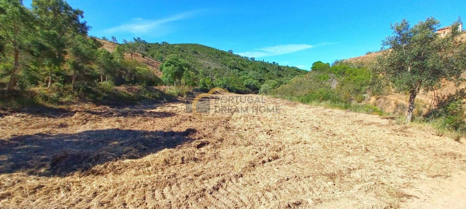 Quinta T5 para Venda em São Bartolomeu de Messines Foto 26