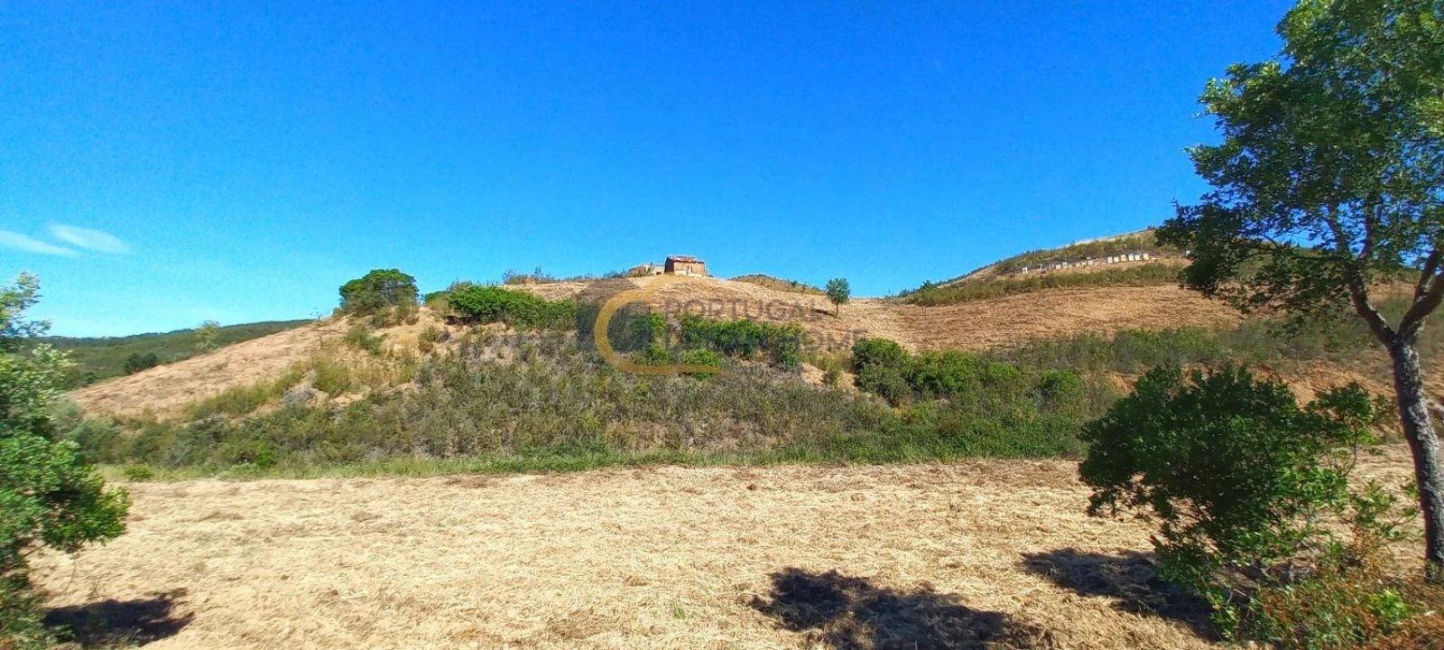 Quinta T5 para Venda em São Bartolomeu de Messines Foto 20