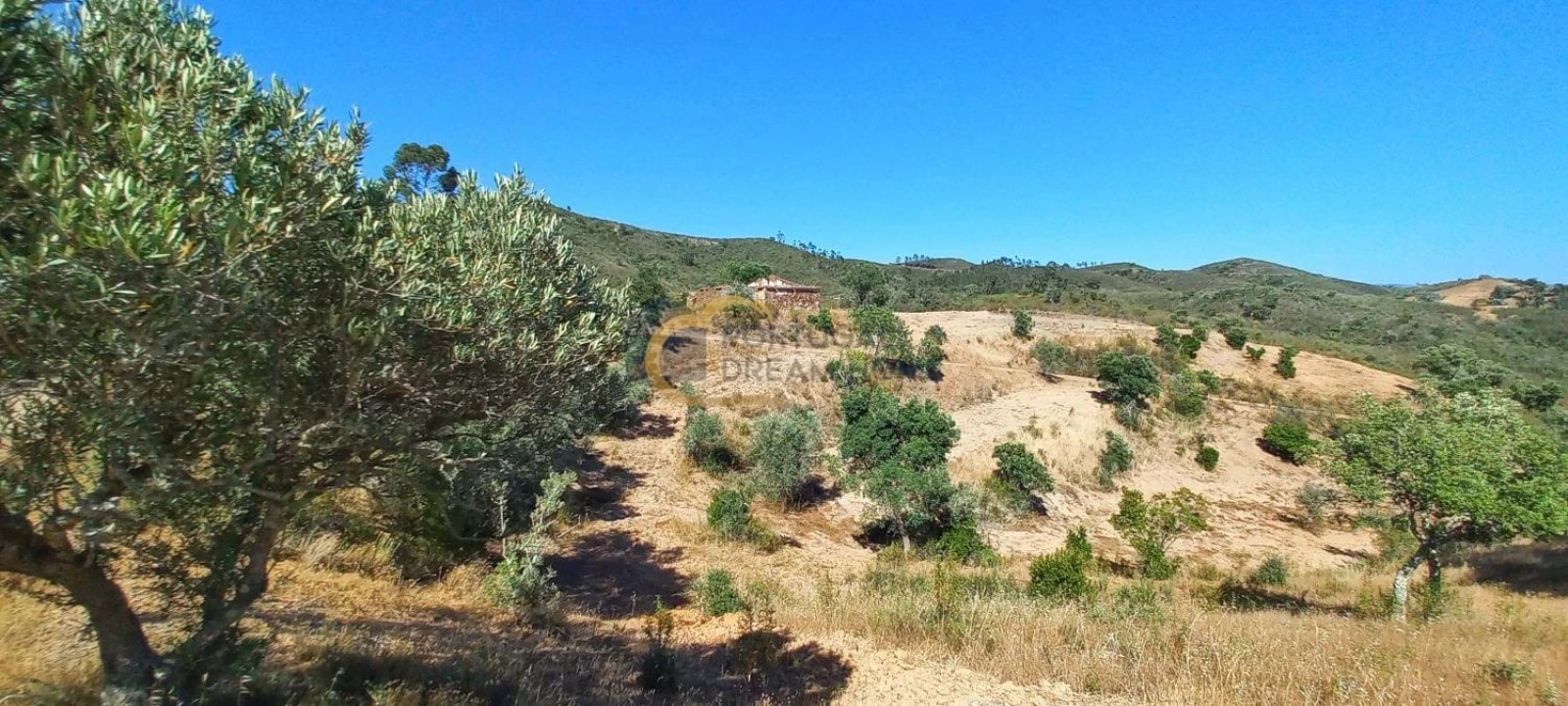 Quinta T5 para Venda em São Bartolomeu de Messines Foto 41