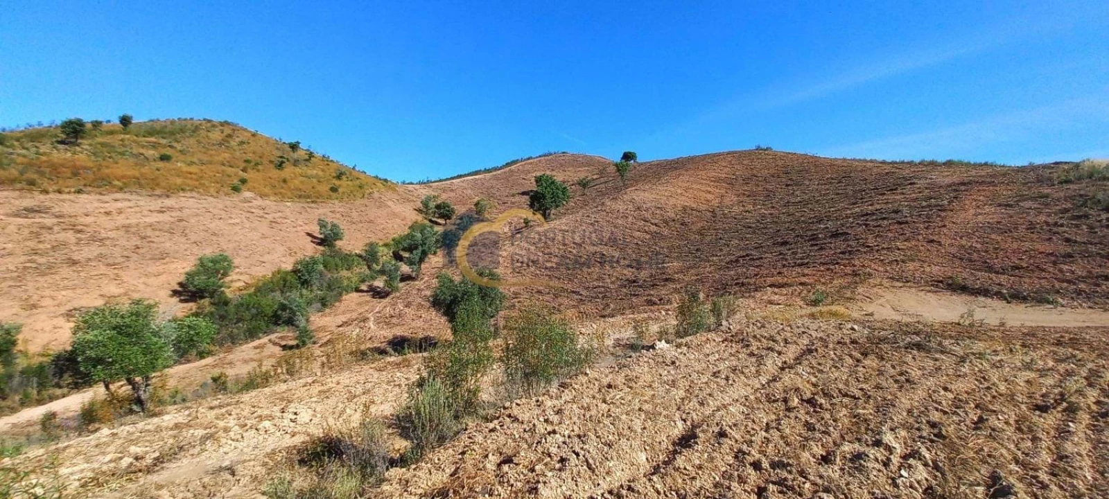 Quinta T5 para Venda em São Bartolomeu de Messines Foto 35