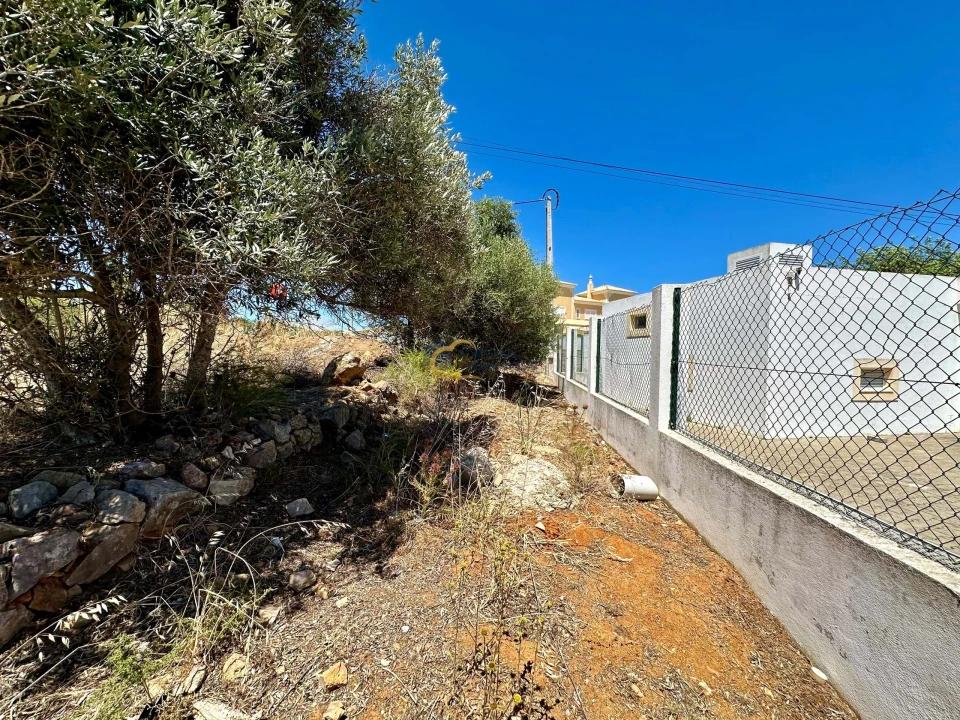 Terreno Agricola ou Rústico para Venda em Guia Foto 6