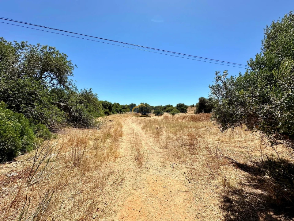 Terreno Agricola ou Rústico para Venda em Guia Foto 7