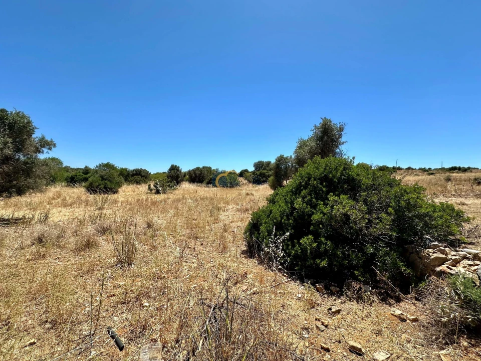 Terreno Agricola ou Rústico para Venda em Guia Foto 3