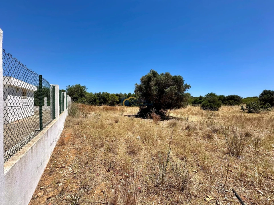 Terreno Agricola ou Rústico para Venda em Guia Foto 4