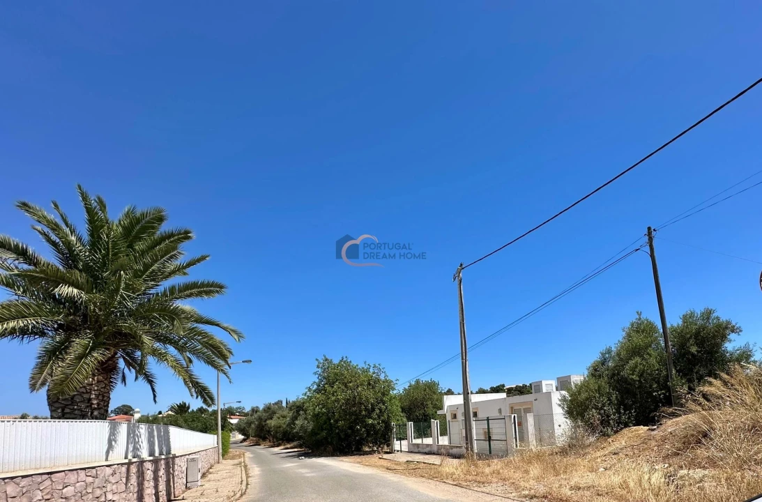 Terreno Agricola ou Rústico para Venda em Guia Foto 2