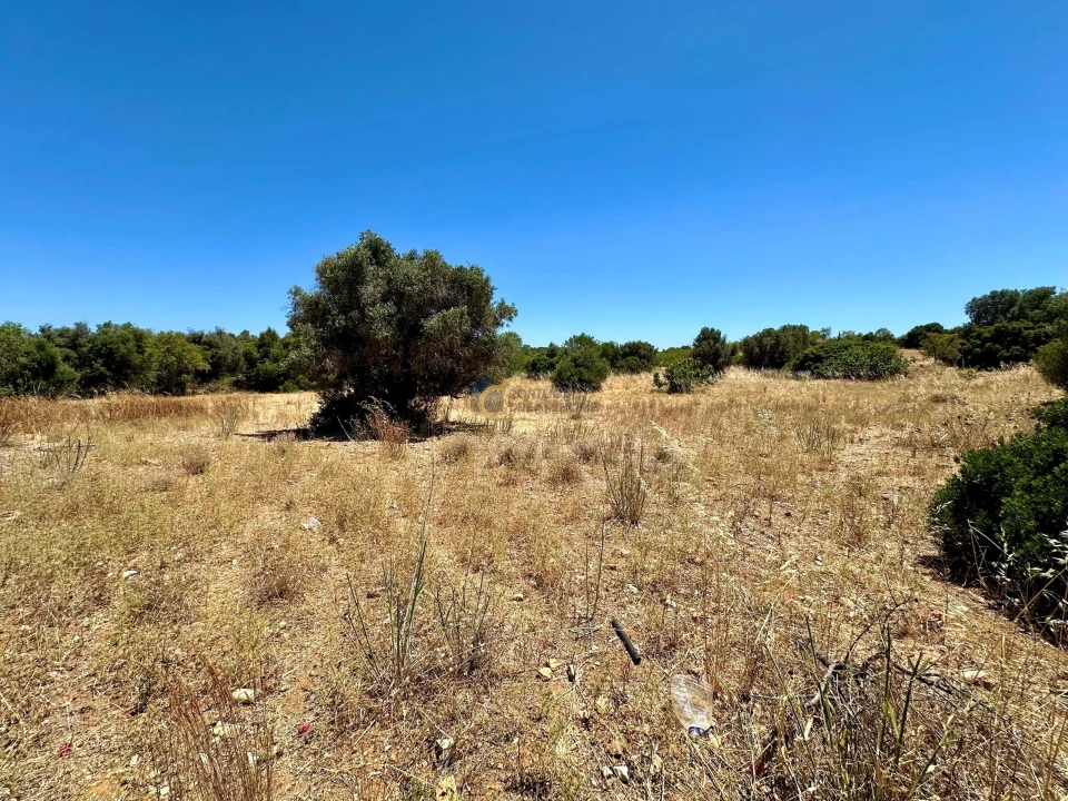 Terreno Agricola ou Rústico para Venda em Guia Foto 1