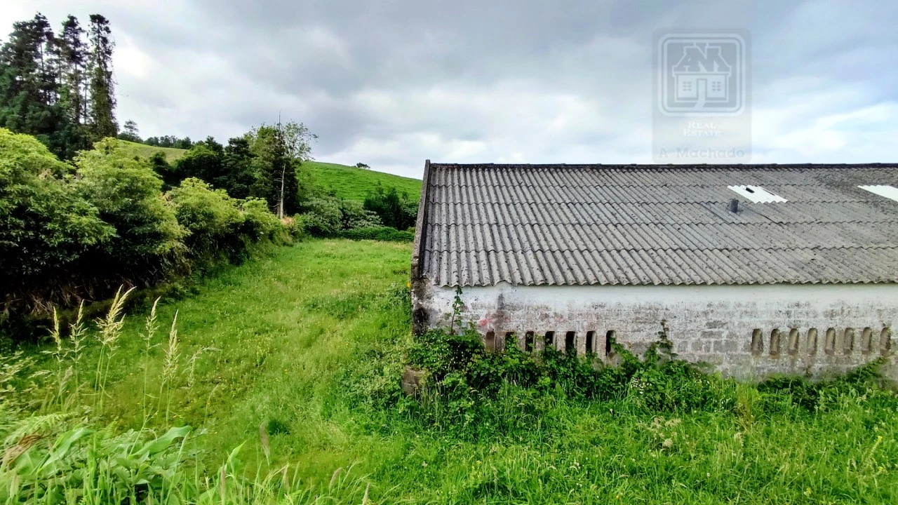 Terreno para Venda em São Bras Foto 7