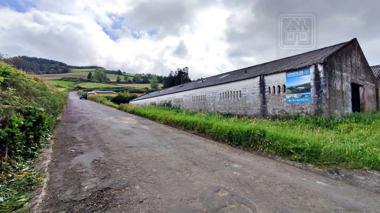 Terreno para Venda em São Bras Foto 11