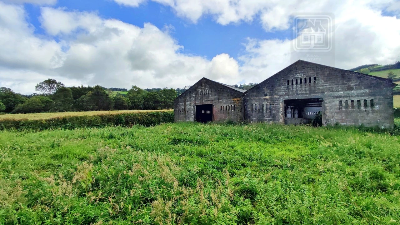Terreno para Venda em São Bras Foto 13