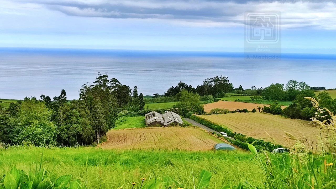 Terreno para Venda em São Bras Foto 22