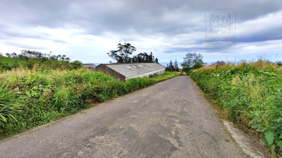 Terreno para Venda em São Bras Foto 6