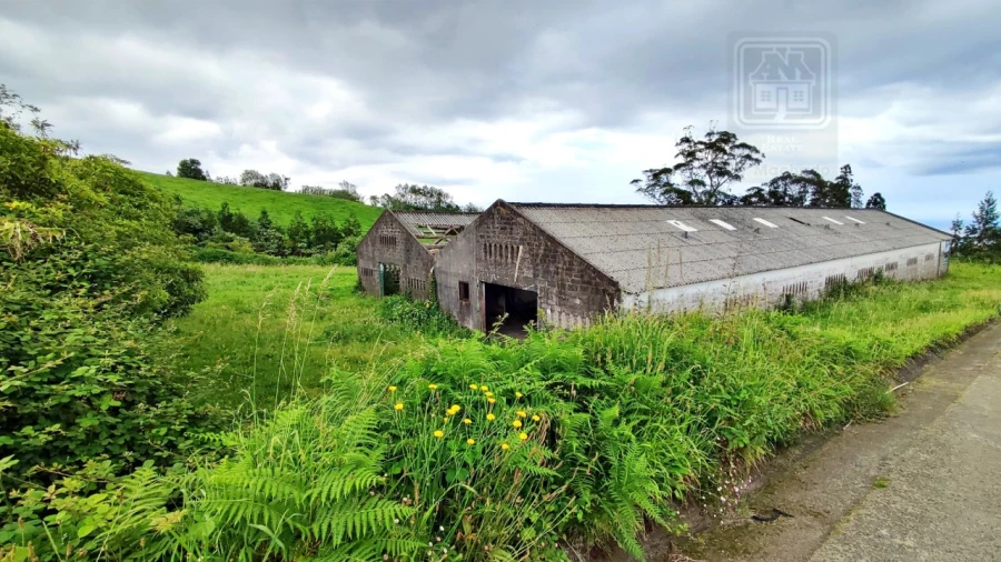 Terreno para Venda em São Bras Foto 8