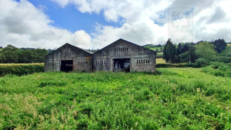Terreno para Venda em São Bras Foto 14