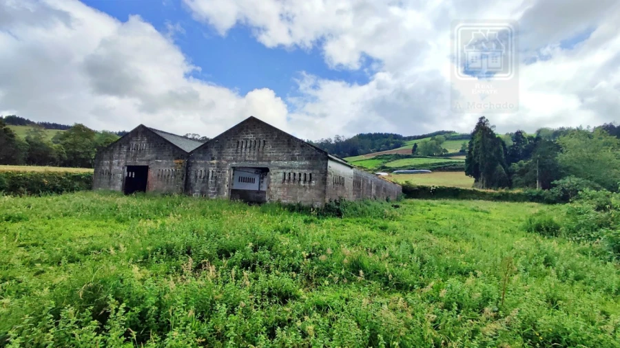Terreno para Venda em São Bras Foto 15