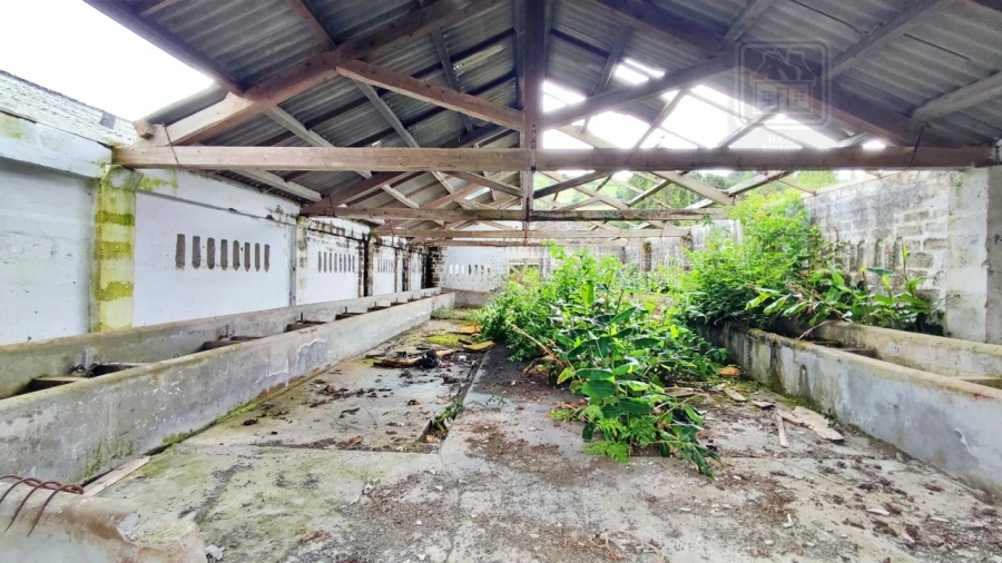 Terreno para Venda em São Bras Foto 16