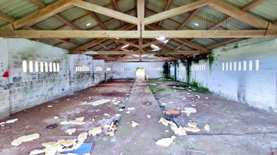 Terreno para Venda em São Bras Foto 17