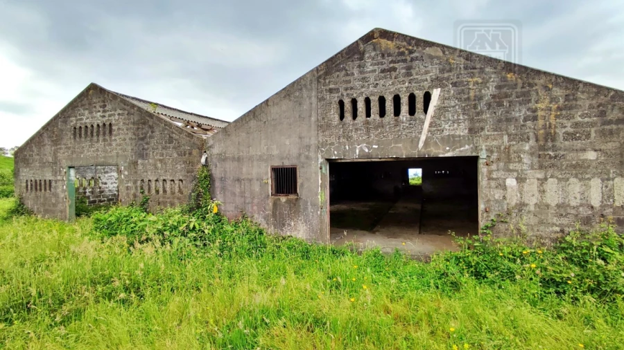 Terreno para Venda em São Bras Foto 19