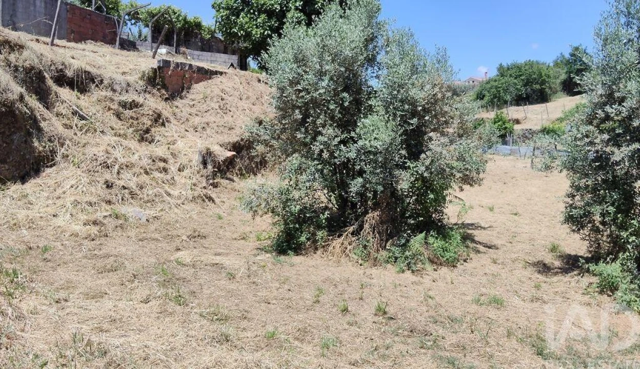 Terreno para Venda em Pedrogão Grande Foto 6