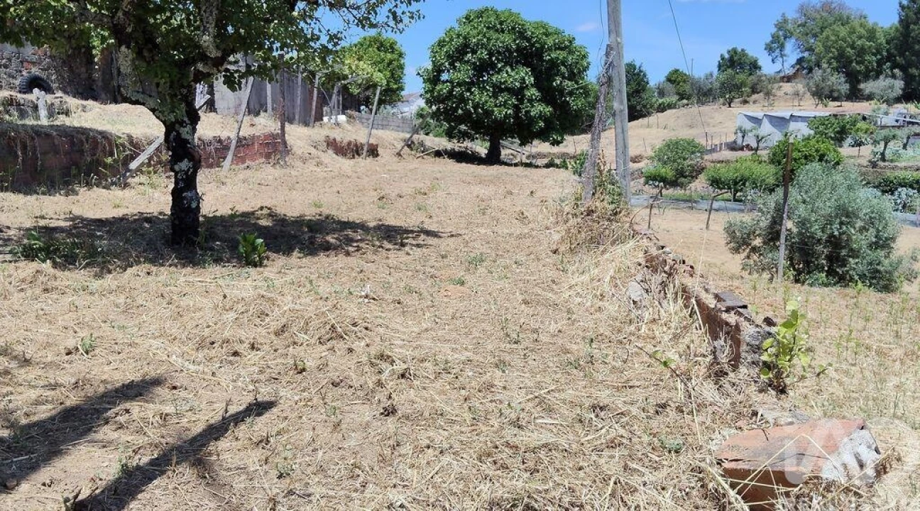 Terreno para Venda em Pedrogão Grande Foto 11