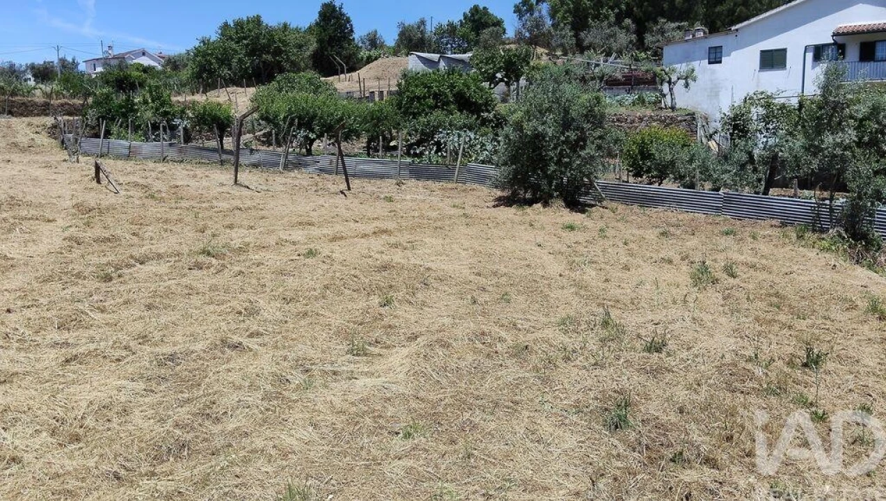 Terreno para Venda em Pedrogão Grande Foto 16