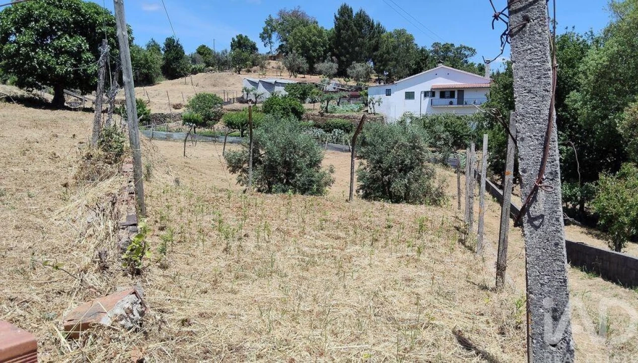 Terreno para Venda em Pedrogão Grande Foto 13