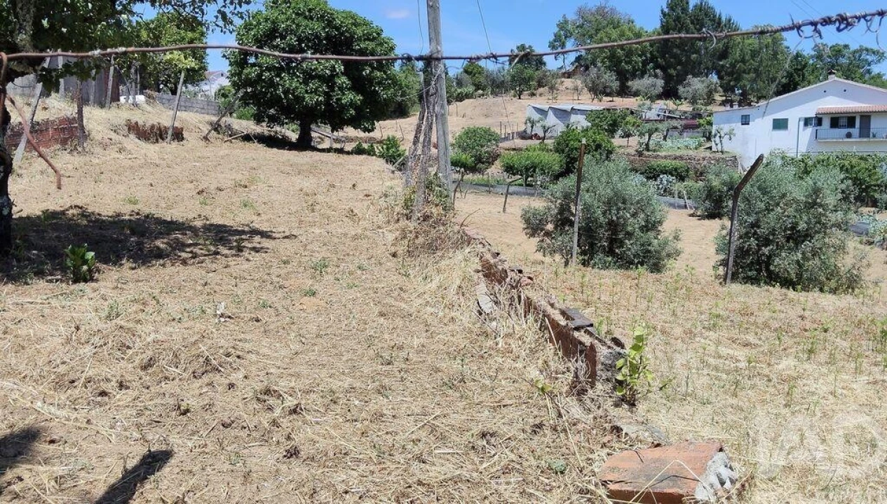Terreno para Venda em Pedrogão Grande Foto 3