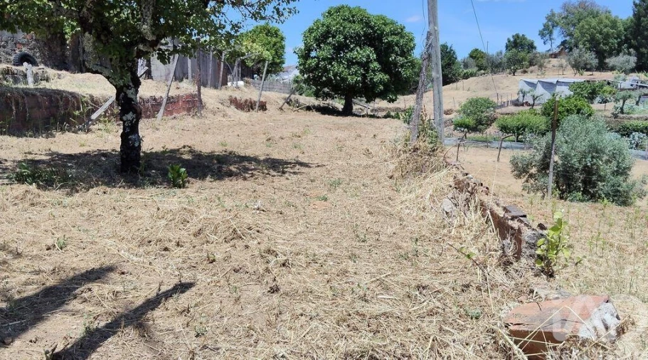 Terreno para Venda em Pedrogão Grande Foto 2