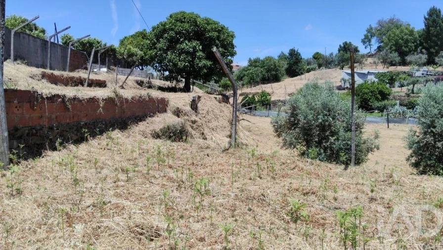 Terreno para Venda em Pedrogão Grande Foto 19