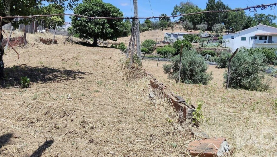 Terreno para Venda em Pedrogão Grande Foto 12