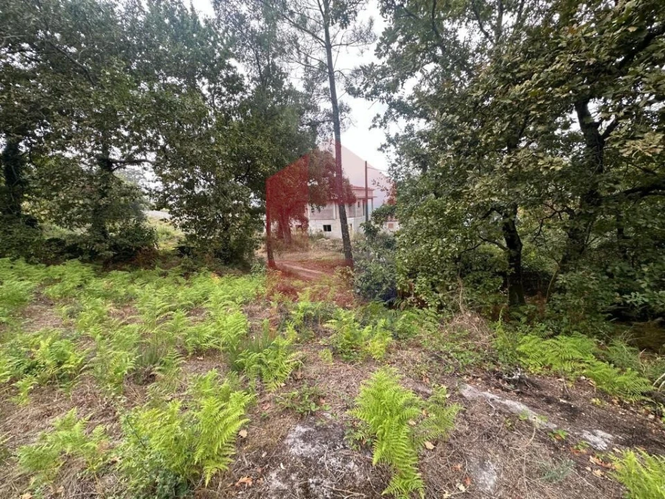 Terreno para Venda em Verim, Friande e Ajude Foto 16