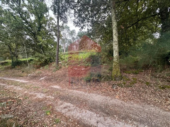 Terreno para Venda em Verim, Friande e Ajude Foto 27